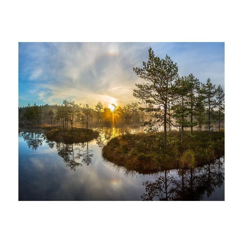 Tablou Canvas Natura, Dimensiunea 100x70 nat630