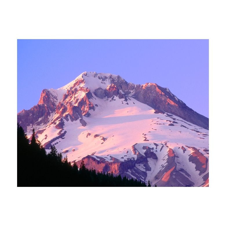 Tablou Canvas Natura, Dimensiunea 100x70 nat683