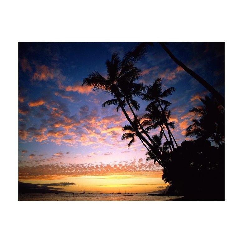 Tablou Canvas Natura, Dimensiunea 100x70 nat673