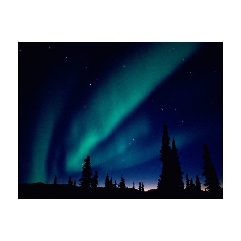 Tablou Canvas Natura, Dimensiunea 100x70 nat711