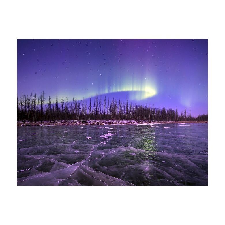 Tablou Canvas Natura, Dimensiunea 100x70 nat608