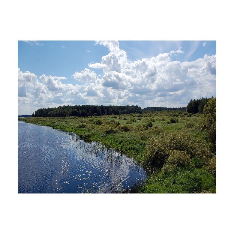 Tablou Canvas Natura, Dimensiunea 100x70 nat611