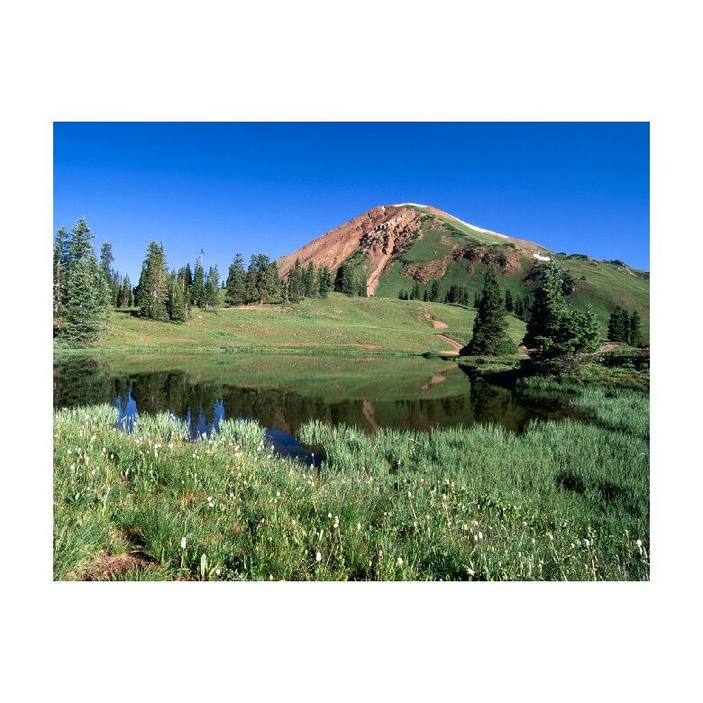 Tablou Canvas Natura, Dimensiunea 100x70 nat685