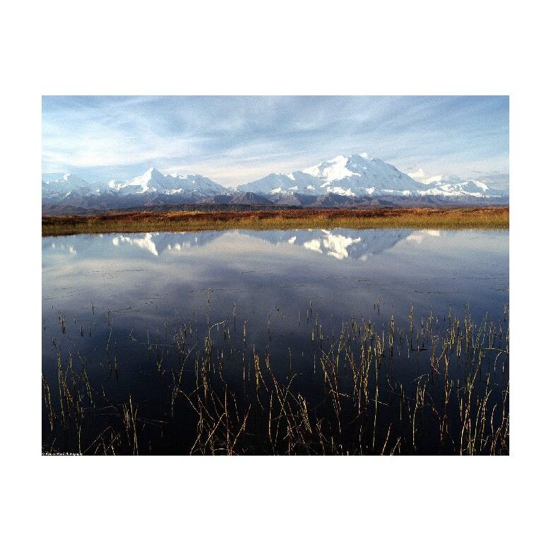 Tablou Canvas Natura, Dimensiunea 100x70 nat734