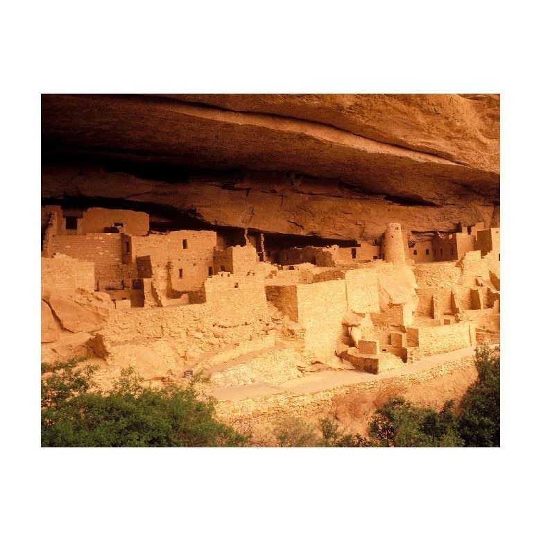 Tablou Canvas Natura, Dimensiunea 100x70 nat691