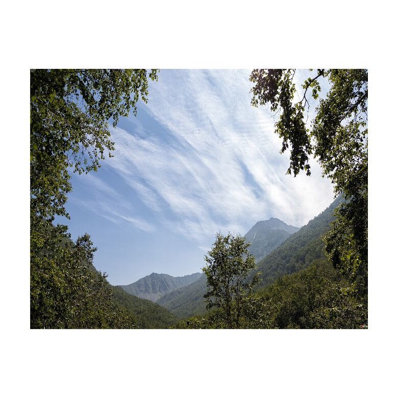 Tablou Canvas Natura, Dimensiunea 100x70 nat616