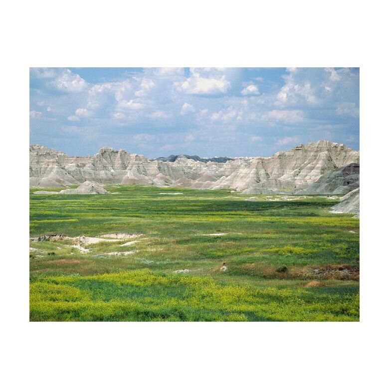 Tablou Canvas Natura, Dimensiunea 100x70 nat750