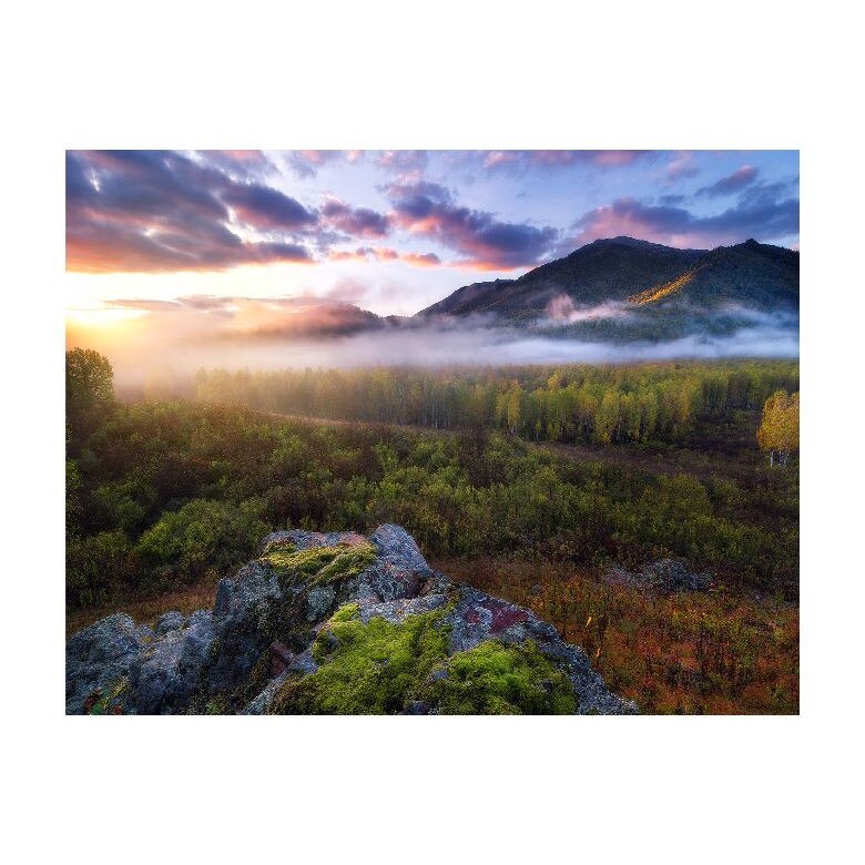 Tablou Canvas Natura, Dimensiunea 100x70 nat628