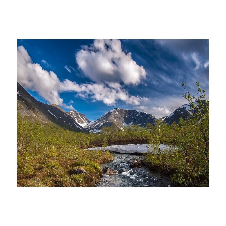 Tablou Canvas Natura, Dimensiunea 100x70 nat656