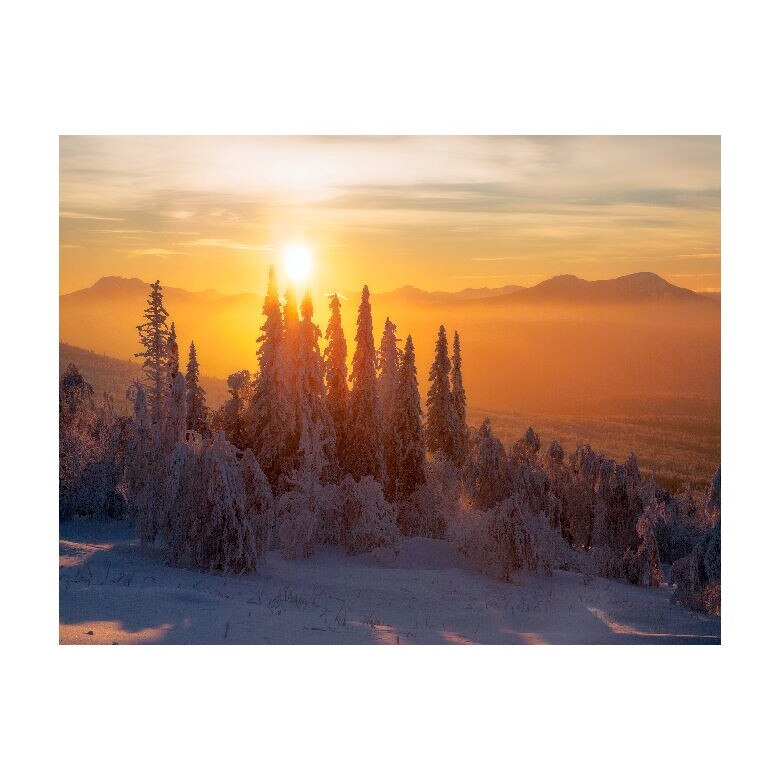 Tablou Canvas Natura, Dimensiunea 100x70 nat646