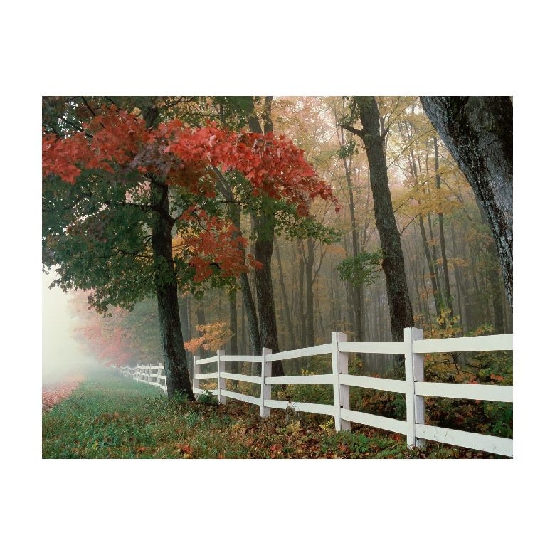 Tablou Canvas Natura, Dimensiunea 100x70 nat739