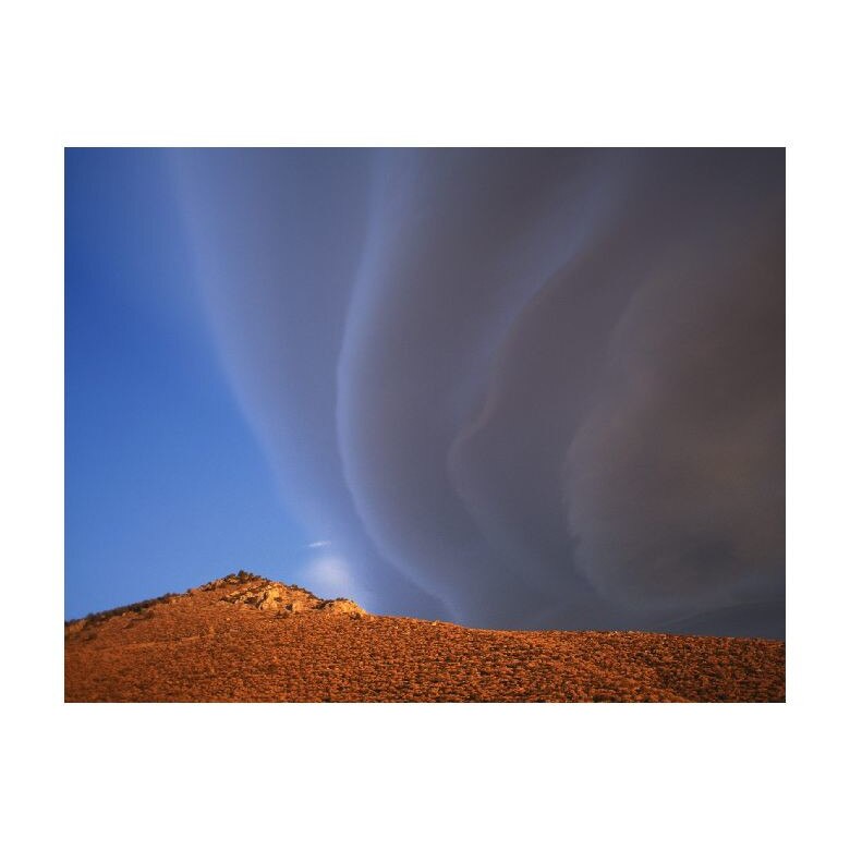 Tablou Canvas Natura, Dimensiunea 100x70 nat672