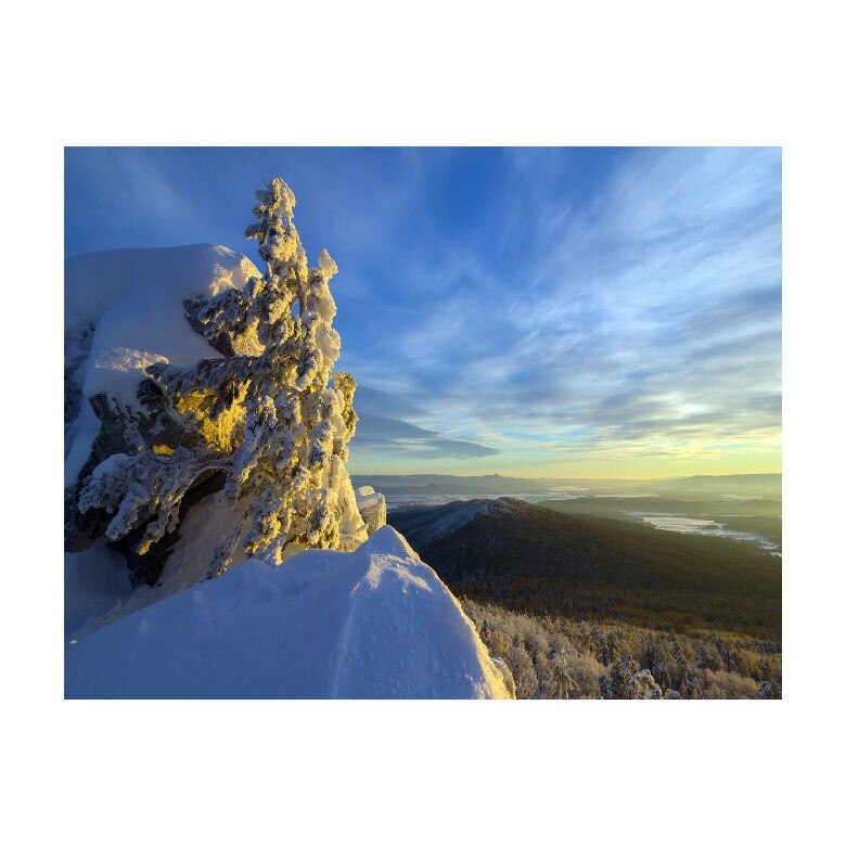 Tablou Canvas Natura, Dimensiunea 100x70 nat644