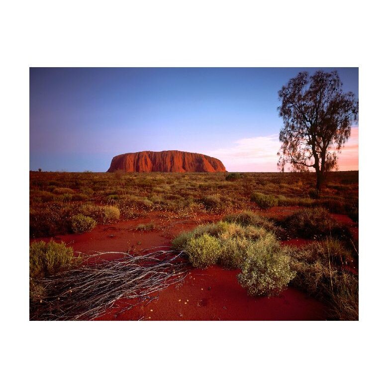 Tablou Canvas Natura, Dimensiunea 100x70 nat744