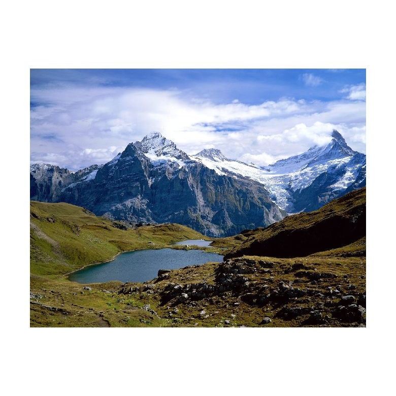 Tablou Canvas Natura, Dimensiunea 100x70 nat747