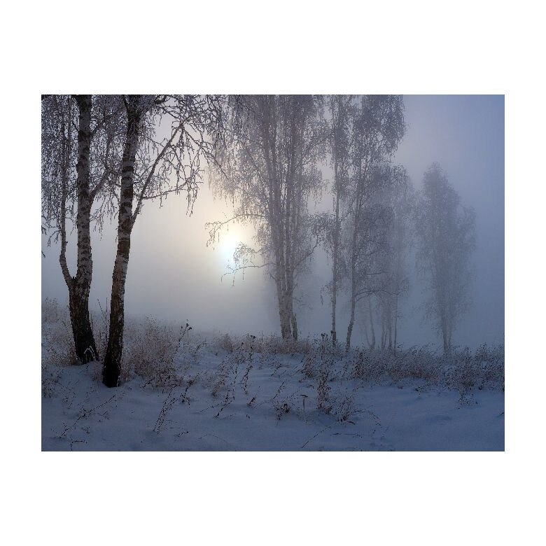 Tablou Canvas Natura, Dimensiunea 100x70 nat641