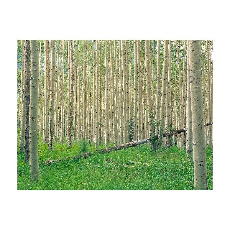 Tablou Canvas Natura, Dimensiunea 100x70 nat702