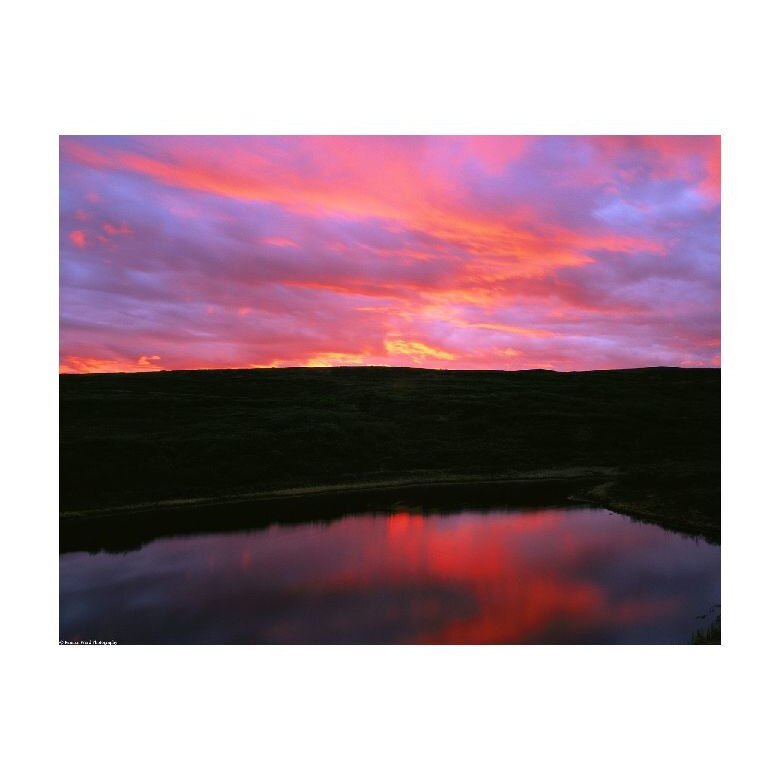 Tablou Canvas Natura, Dimensiunea 100x70 nat679