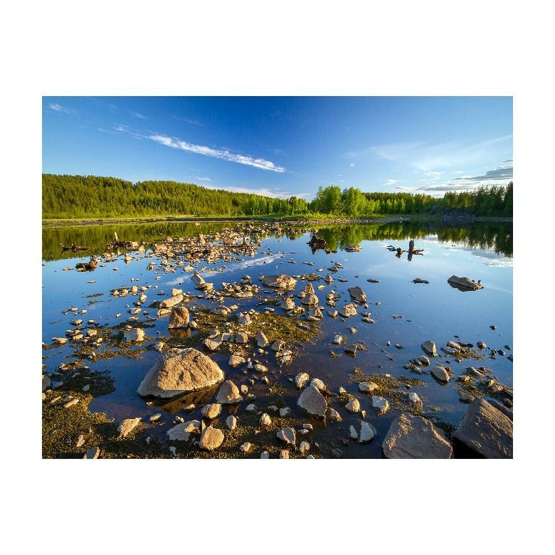 Tablou Canvas Natura, Dimensiunea 100x70 nat653