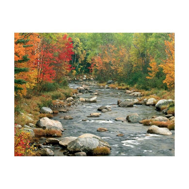 Tablou Canvas Natura, Dimensiunea 100x70 nat724