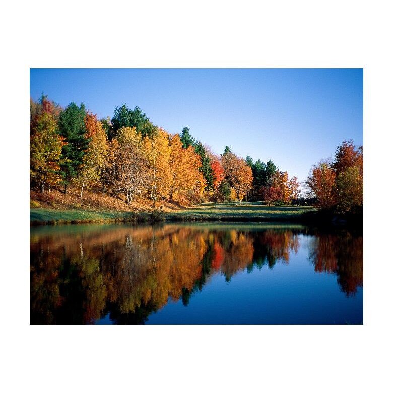 Tablou Canvas Natura, Dimensiunea 100x70 nat735