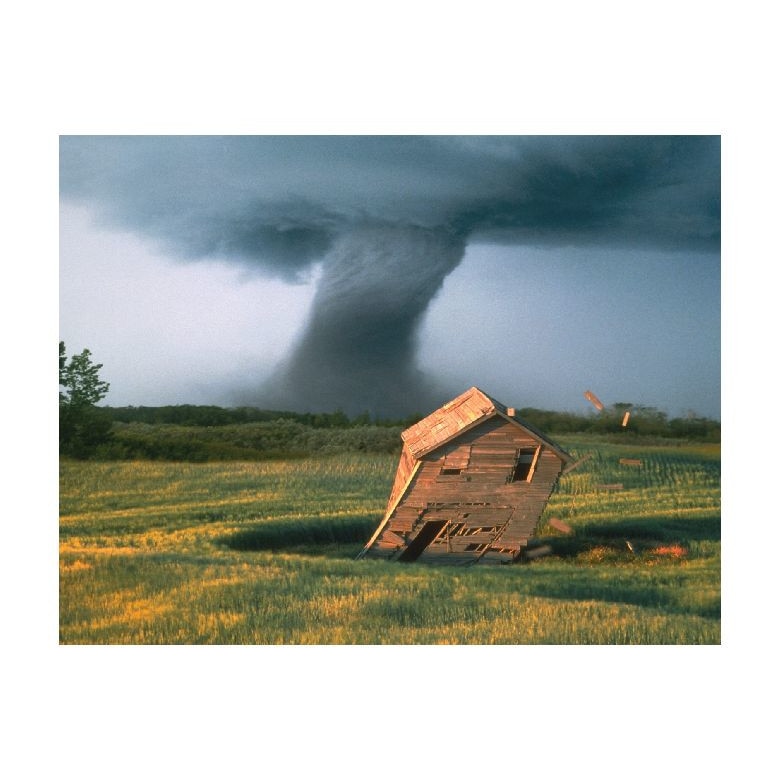 Tablou Canvas Natura, Dimensiunea 100x70 nat743