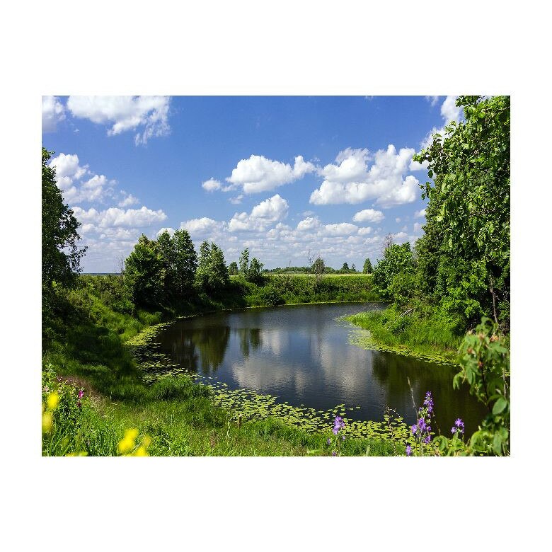 Tablou Canvas Natura, Dimensiunea 100x70 nat623