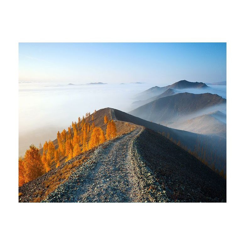 Tablou Canvas Natura, Dimensiunea 100x70 nat631