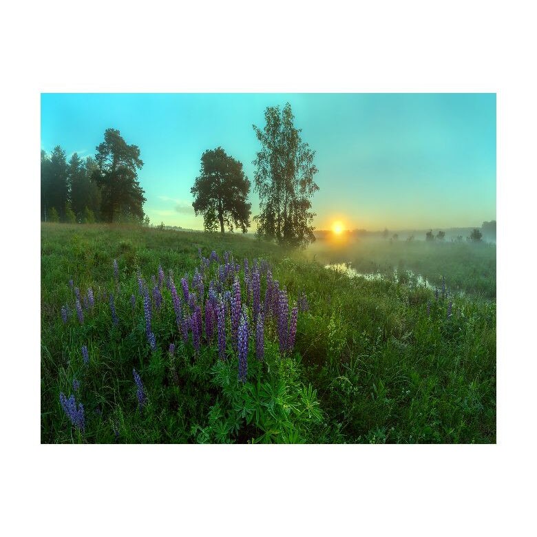 Tablou Canvas Natura, Dimensiunea 100x70 nat650