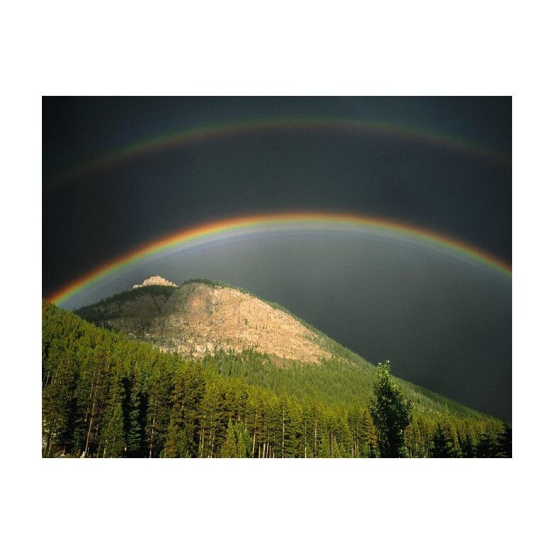 Tablou Canvas Natura, Dimensiunea 100x70 nat804