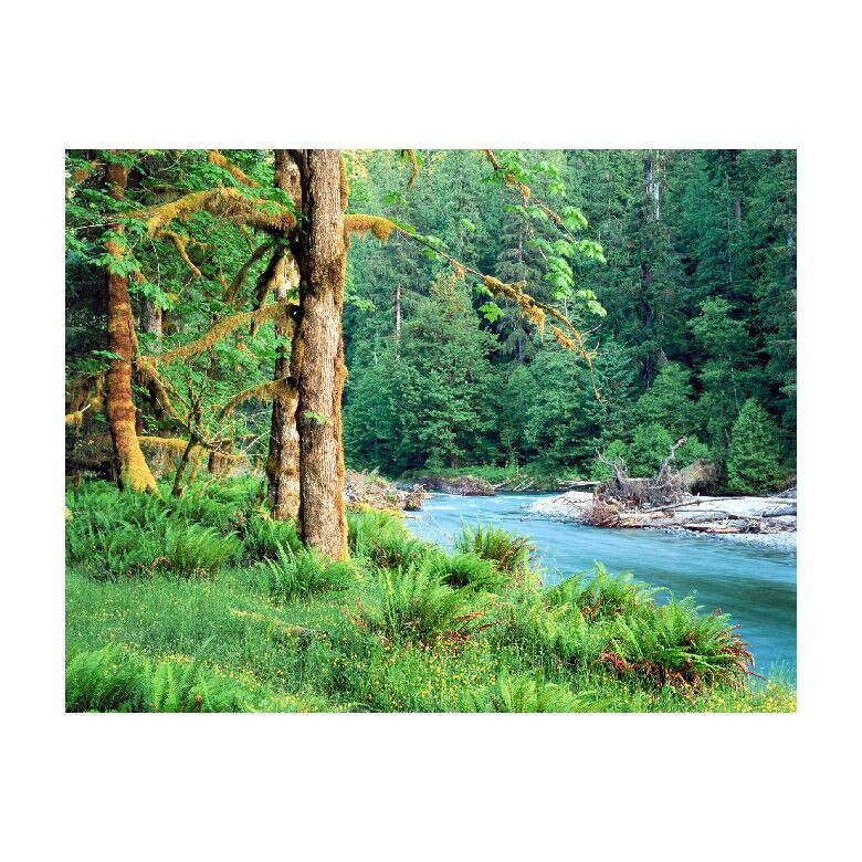 Tablou Canvas Natura, Dimensiunea 100x70 nat769