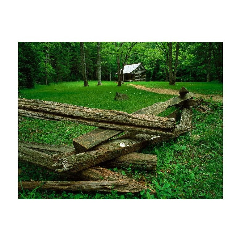 Tablou Canvas Natura, Dimensiunea 100x70 nat815