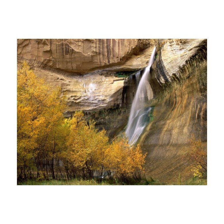 Tablou Canvas Natura, Dimensiunea 100x70 nat801