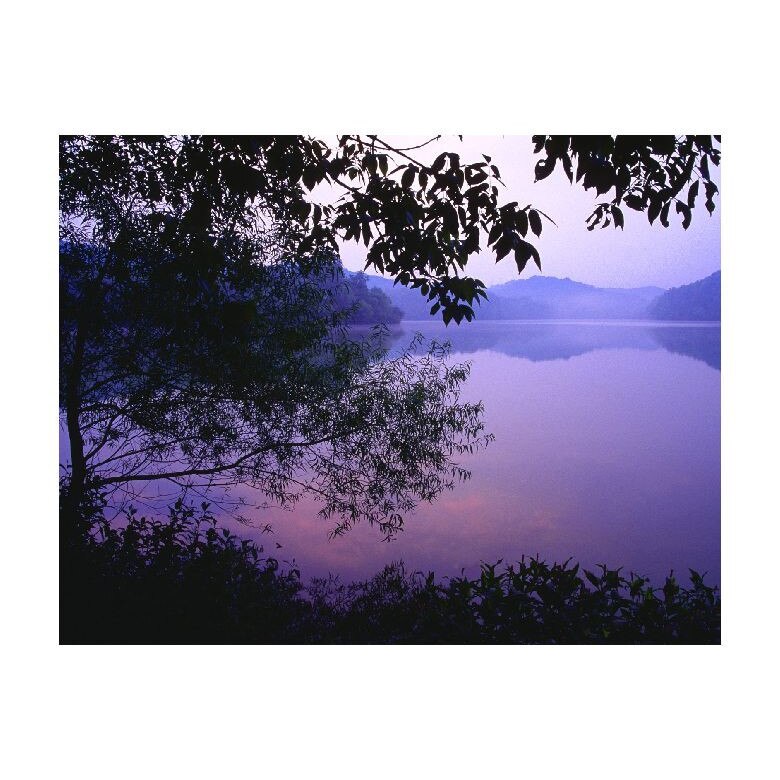Tablou Canvas Natura, Dimensiunea 100x70 nat895