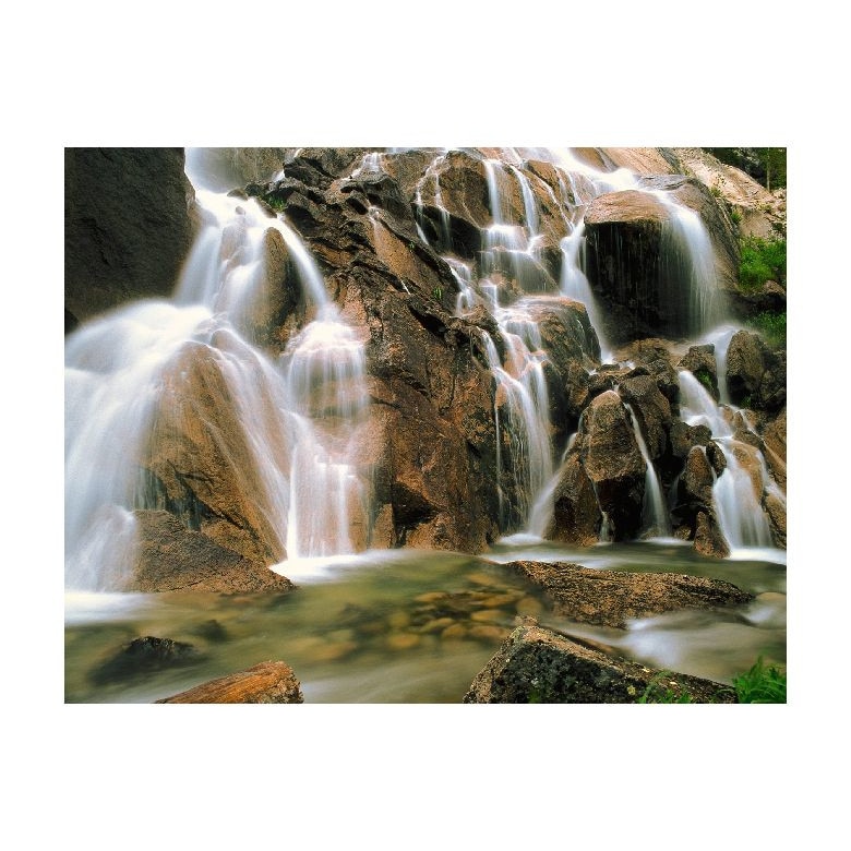 Tablou Canvas Natura, Dimensiunea 50x30 nat866