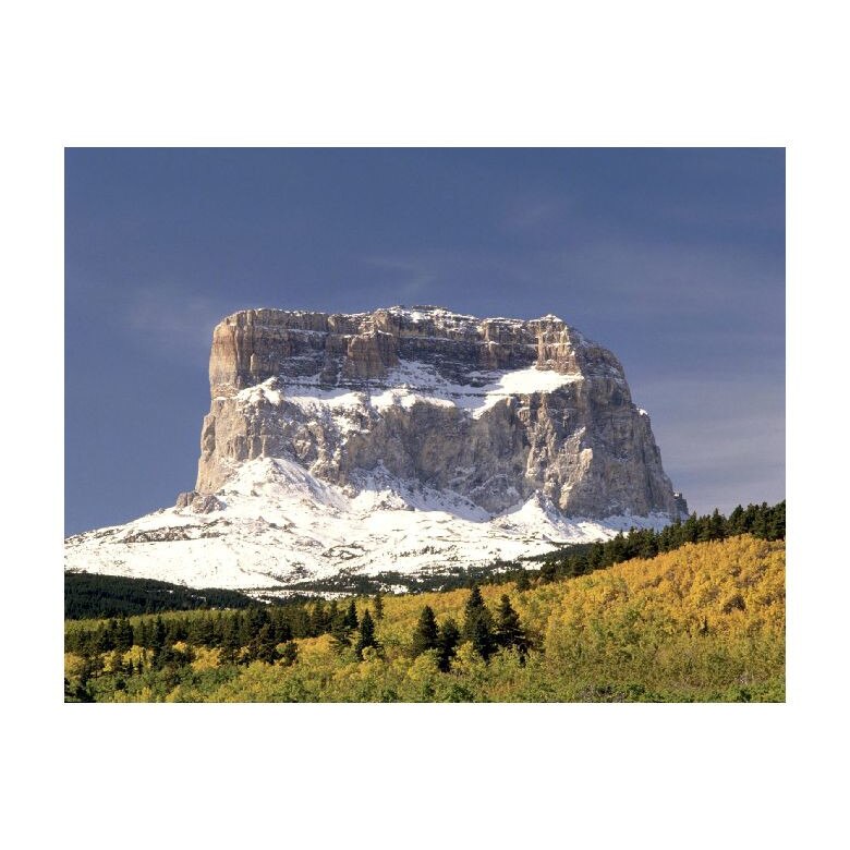 Tablou Canvas Natura, Dimensiunea 100x70 nat829