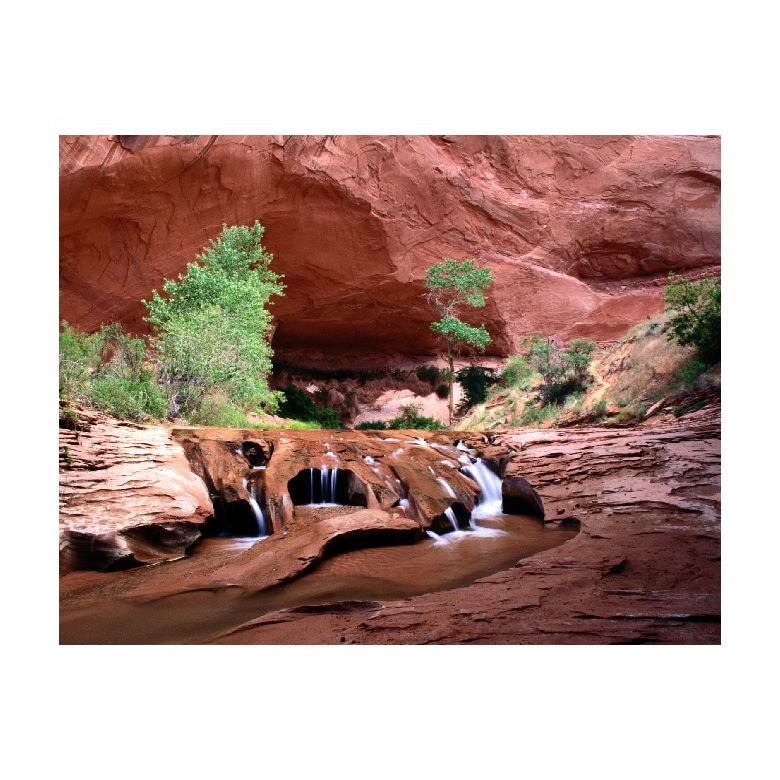 Tablou Canvas Natura, Dimensiunea 100x70 nat871