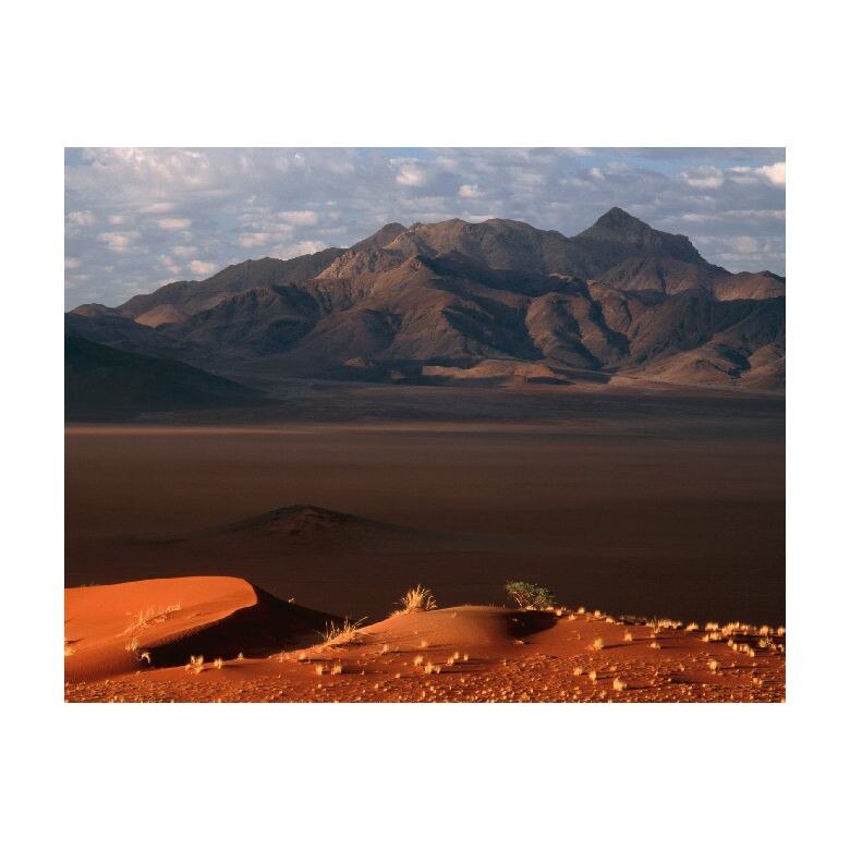 Tablou Canvas Natura, Dimensiunea 100x70 nat894