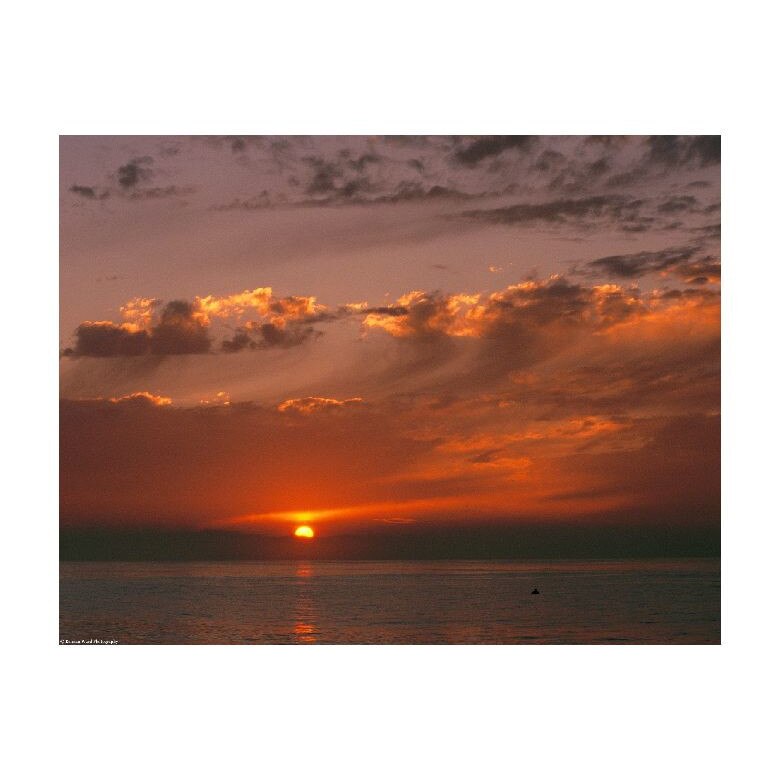 Tablou Canvas Natura, Dimensiunea 100x70 nat776