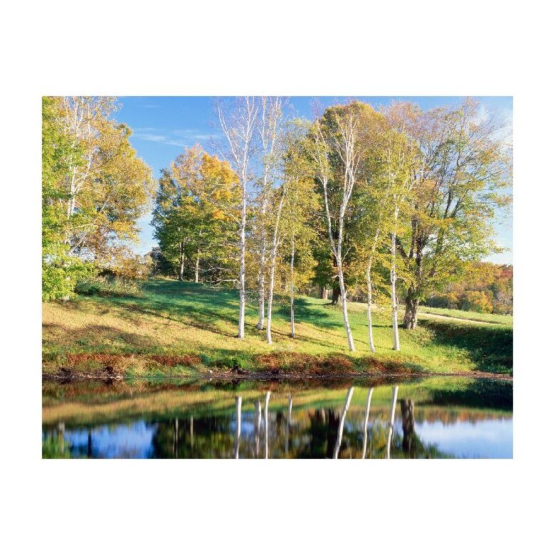 Tablou Canvas Natura, Dimensiunea 100x70 nat770