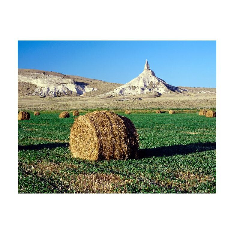 Tablou Canvas Natura, Dimensiunea 100x70 nat830