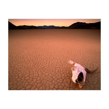 Tablou Canvas Natura, Dimensiunea 100x70 nat781 Tablou Canvas Natura, Dimensiunea 100x70 nat781