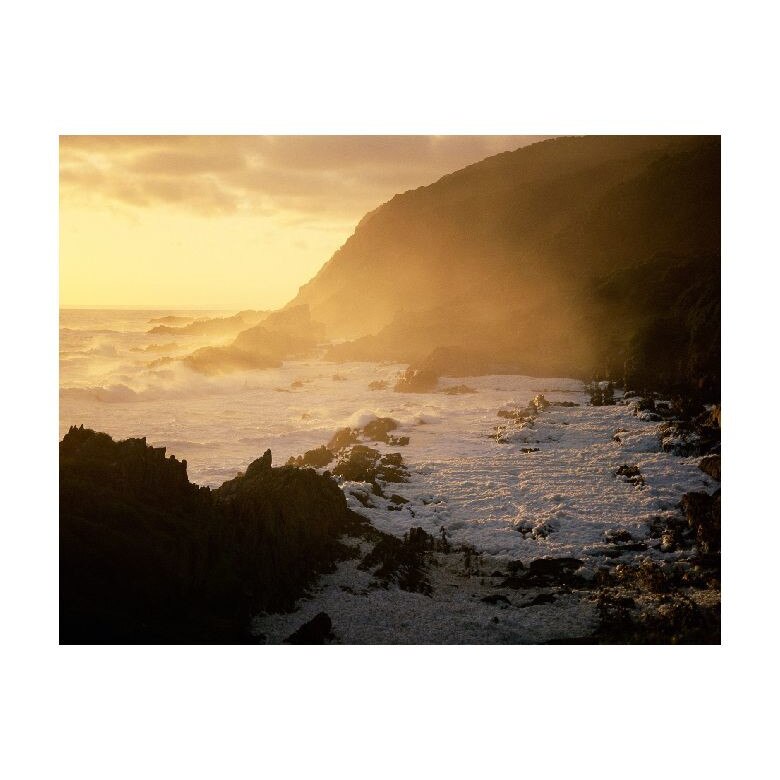 Tablou Canvas Natura, Dimensiunea 100x70 nat809