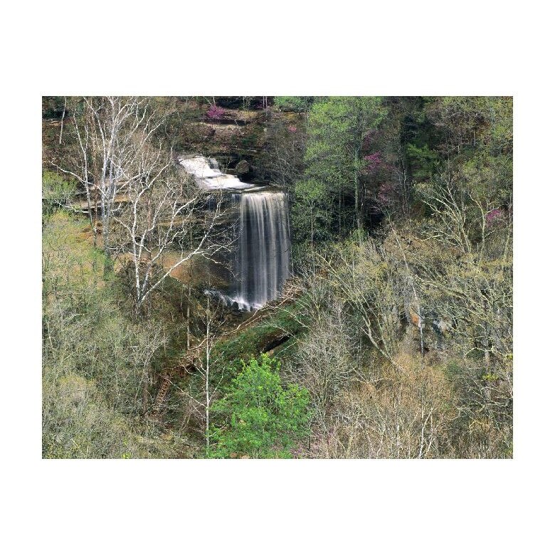Tablou Canvas Natura, Dimensiunea 100x70 nat768