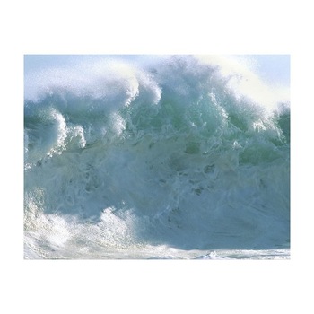 Tablou Canvas Natura, Dimensiunea 100x70 nat798 Tablou Canvas Natura, Dimensiunea 100x70 nat798