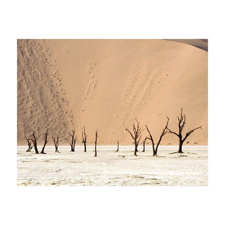 Tablou Canvas Natura, Dimensiunea 100x70 nat898