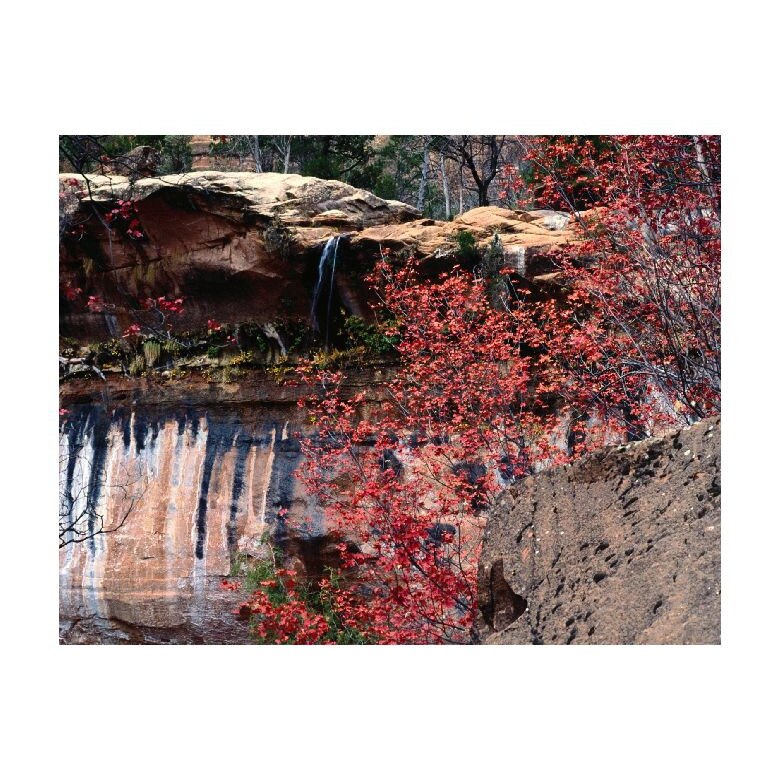 Tablou Canvas Natura, Dimensiunea 100x70 nat802