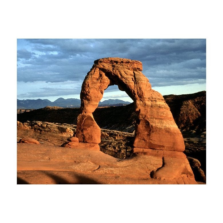 Tablou Canvas Natura, Dimensiunea 100x70 nat900