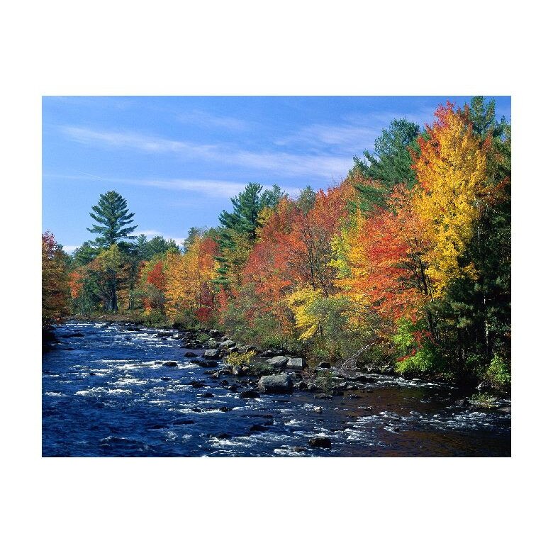 Tablou Canvas Natura, Dimensiunea 100x70 nat862