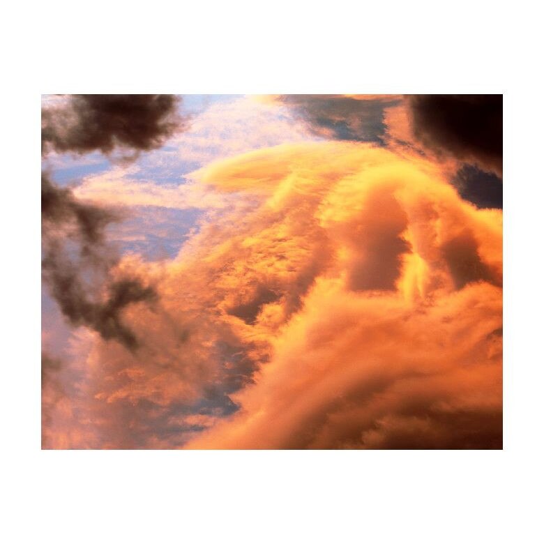 Tablou Canvas Natura, Dimensiunea 100x70 nat851